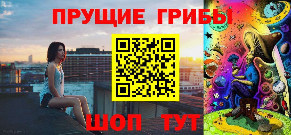 Тихорецк  где продают   Вход с VPN  Галлюциногенные грибы Psilocybine cubensis 