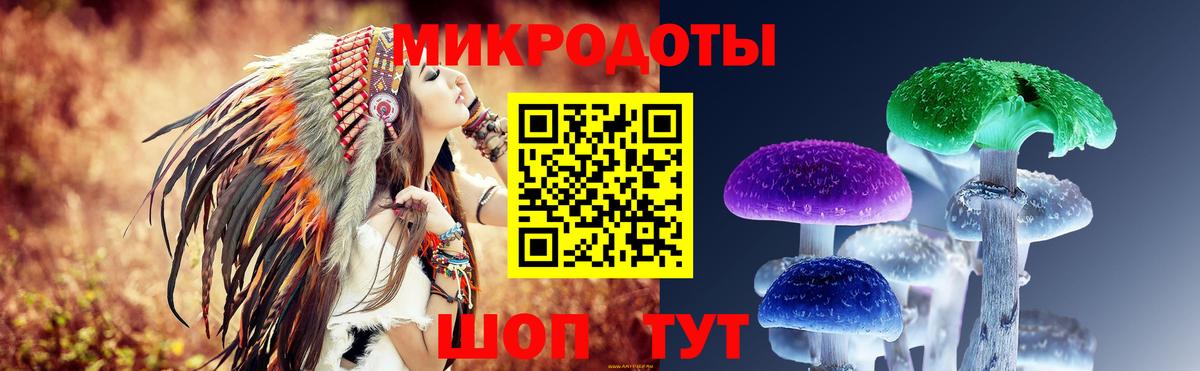 Псилоцибиновые грибы мицелий Тихорецк